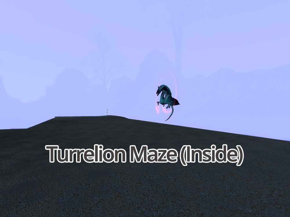 Inside Maze.jpg